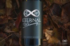 Eternal Discovery 1.5L Magnum