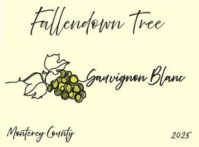 2025 Sauvignon Blanc