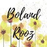 Boland Rooz Celebration Member Guest 6/19/26