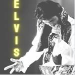 Elvis Tribute 11/23/24 Members