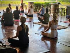 Yoga & Mimosas