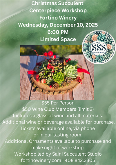 CHRISTMAS SUCCULENT CENTERPIECE WORKSHOP