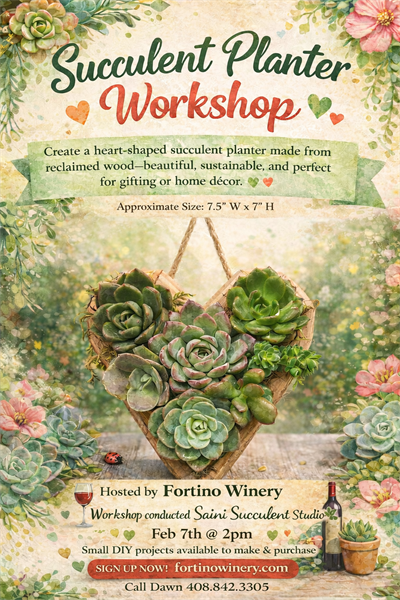 SUCCULENT PLANTER WORKSHOP