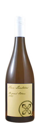 2023 Picpoul Blanc
