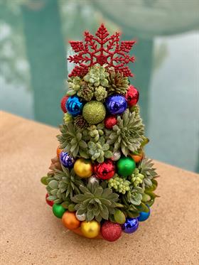 Christmas Tree Succulent Workshop- Click for details