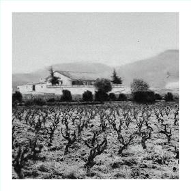 2023 Sendero Tempranillo