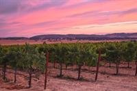 Camping in the Vineyard: 9/30 - 10/2