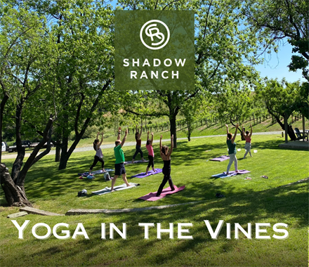 Yoga in the Vines