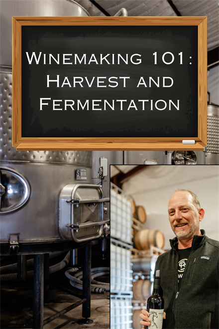 Winemaking 101