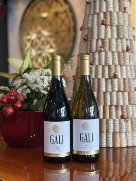 Gali Classics-SCM Style