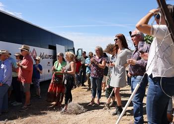 Vineyard Tour and Party