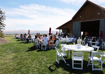Vineyard Tour Party Only
