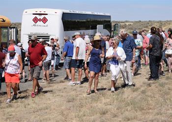 Vineyard Tour and Party with Transportation from Ellensburg