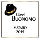 2022 Cabernet Franc