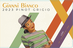 2023 Pinot Grigio