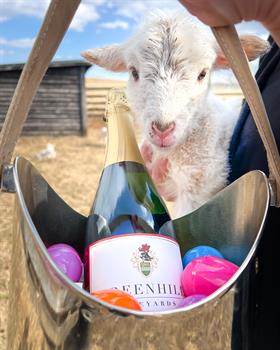 Adult Easter Egg Hunt 2026 - 1:30pm