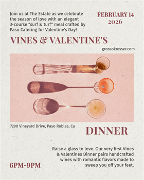 Vines & Valentines Day Dinner
