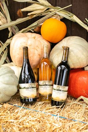 3-Bottle Special