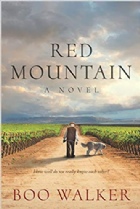 Book - Red Mountain by Boo Walker