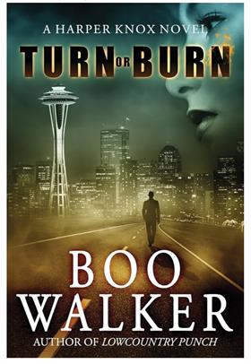 Book - Turn or Burn by Boo Walker