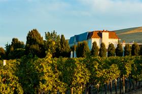 Hedges Family Estate 40th Anniversary Dinner on Red Mountain