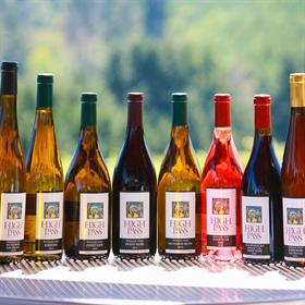 2023 Bellpine Pinot Noir