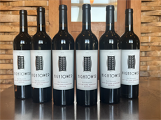 2022 Out of Line Estate Blend - 6 bottle Pack