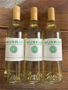 2025 Sauvignon Blanc Three Bottle Special