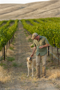 Winemaker's Lunch: Veraison