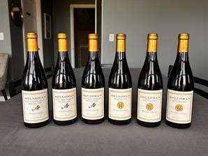 23 Willamette Valley Pinot Noir & 23 Vignes Volantes Tempranillo Mix and Match Special