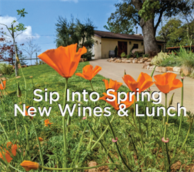 Sip Into Spring, New Wines & Lunch