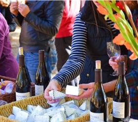 Cheese & Wine Pairing 2026