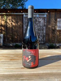 2019 Pinot Noir