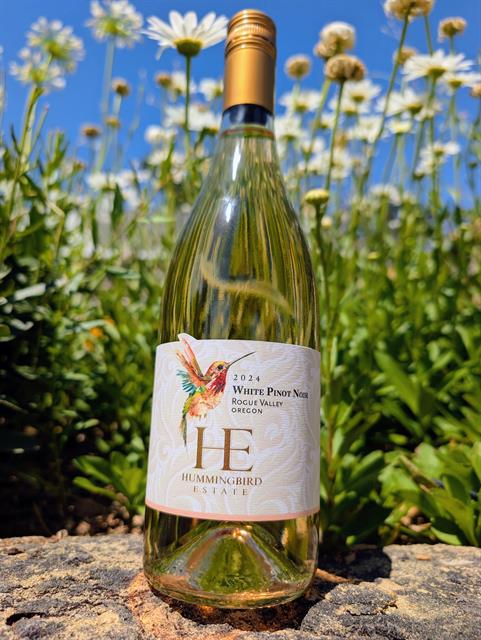 2024 White Pinot Noir