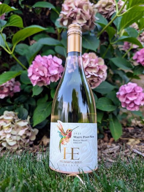 2023 White Pinot Noir