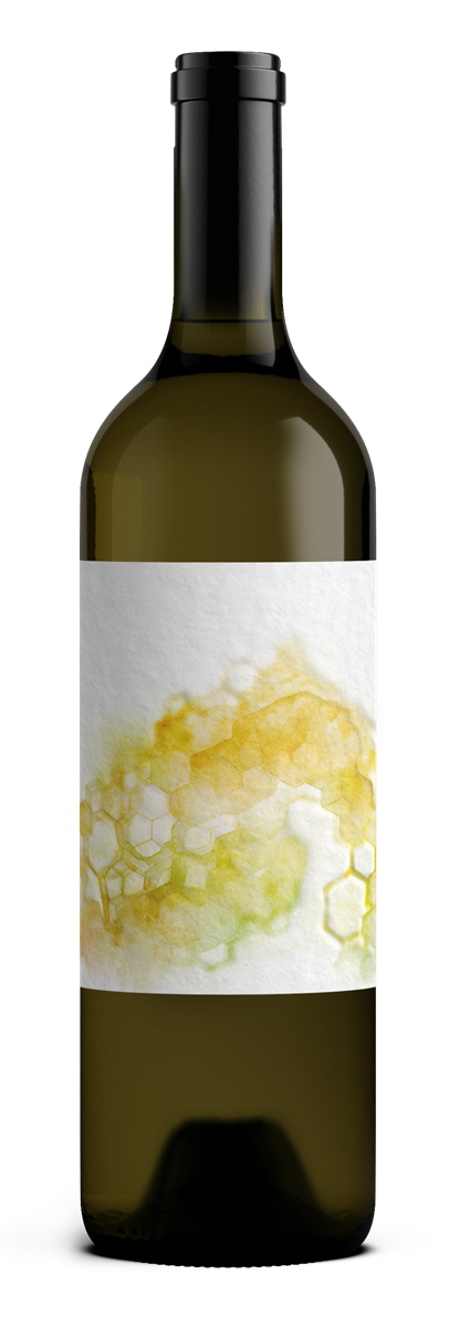 2024 Grenache blanc