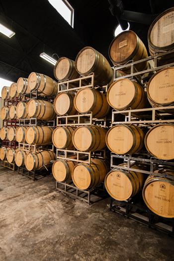 Wine Society of Texas Tasting