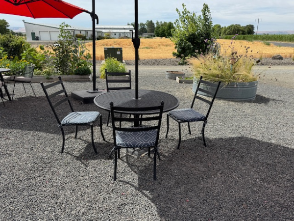 Area Image