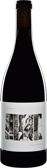 2023 Paper Street Cornflower Blue