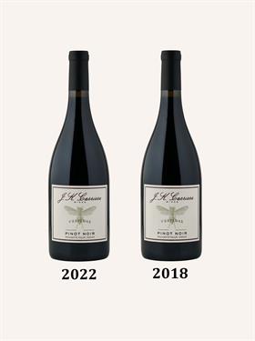 Vespidae Set: 2022 and 2018