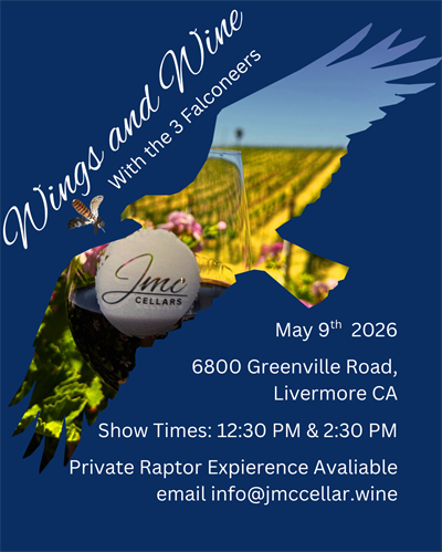 Q2 Release: Wings & Wine