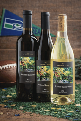 Super Bowl LX Sampler