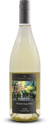 2025 Bramble Bump White