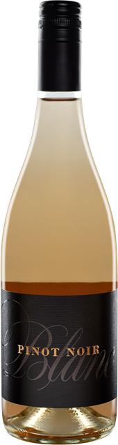 2024 Pinot Noir Blanc