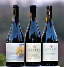 Trio Pack - Pinot Noir