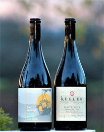 Two Pack - Pinot Noir