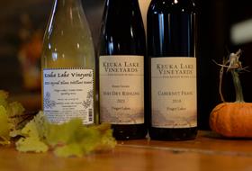 2025 Thanksgiving Bundle