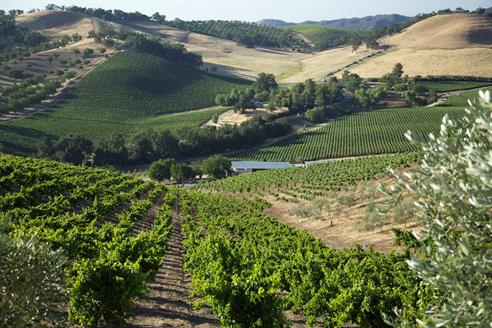 kukkula hike and wine tasting/May 18th