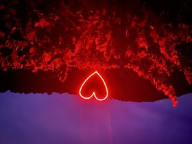 2019 Recherché Reserve Pinot Noir van der Kamp Vineyard - Old Vines - Sonoma Mountain