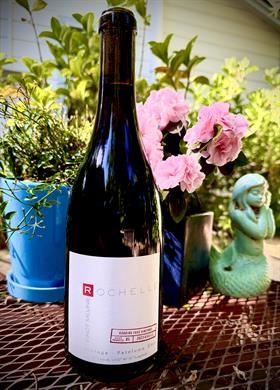 2023 Pinot Meunier - Roaring Frog  Vineyard - Petaluma Gap